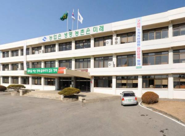 경상북도농업기술원, 생강 정식 전 씨생강 관리, 안정생산의 첫걸음!