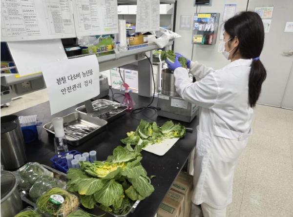 충북보건환경연구원, 봄철 다소비 농산물 검사결과 '안전' 기사 이미지