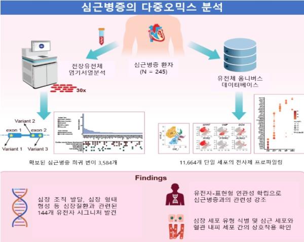 질병관리청, 원인 미상 '심근병증' 발병 비밀 풀다 핵심 유전자 및 세포 상호작용 규명 기사 이미지