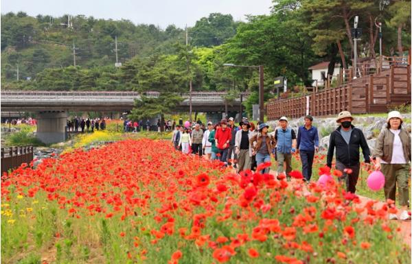 2026 괴산빨간맛페스티벌 폐막…공연·먹거리·꽃길 모두 통했다
